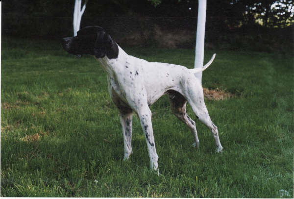 Cyska de Gavatot